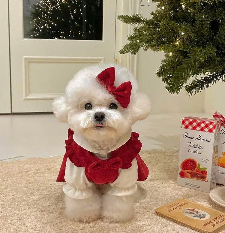 PrincessPaws Bow Dress Set - Corduroy Christmas Princess Costume for Teddy & Small Dogs