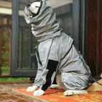 Outdoor Large Dog Raincoat: Stylish Protection for All Weather! ☔🐾