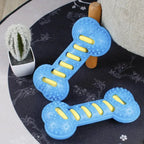 Durable Dental Chew Bone for Puppies & Dogs - Teeth Cleaning Rubber Toy