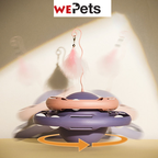 Cat tumbler toy with teaser