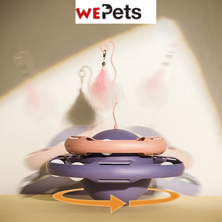 Cat tumbler toy with teaser