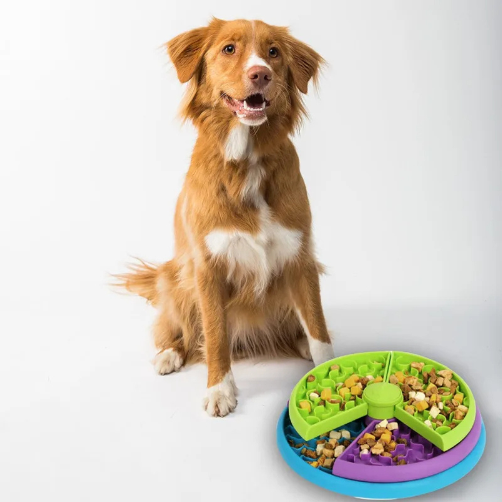Slow Feeder Anti-Choking Bowl - 3 Layer Puzzle Pet Feeder