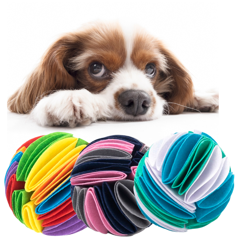 Snuffle Ball for Dogs – IQ Training & Slow Feeding Toy