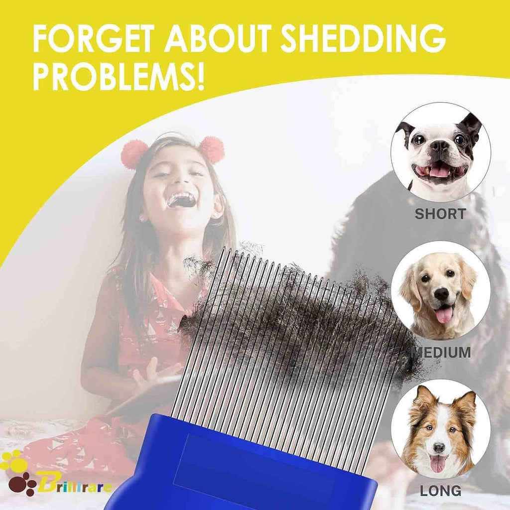 Stainless Steel Flea Comb Set Flea Comb for Cats and Dogs
