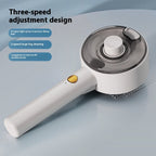 UV Pet Grooming Brush Steam Flea & Hair Remover Tool