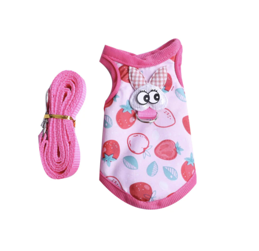 Guinea Pig Harness and Leash