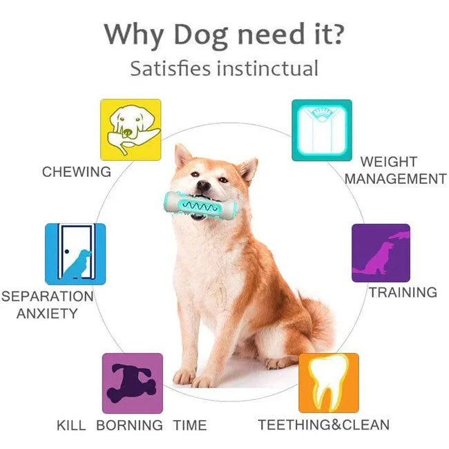 Dog Dental Chew Toy – Teeth Cleaning Fun for Dogs Main Image