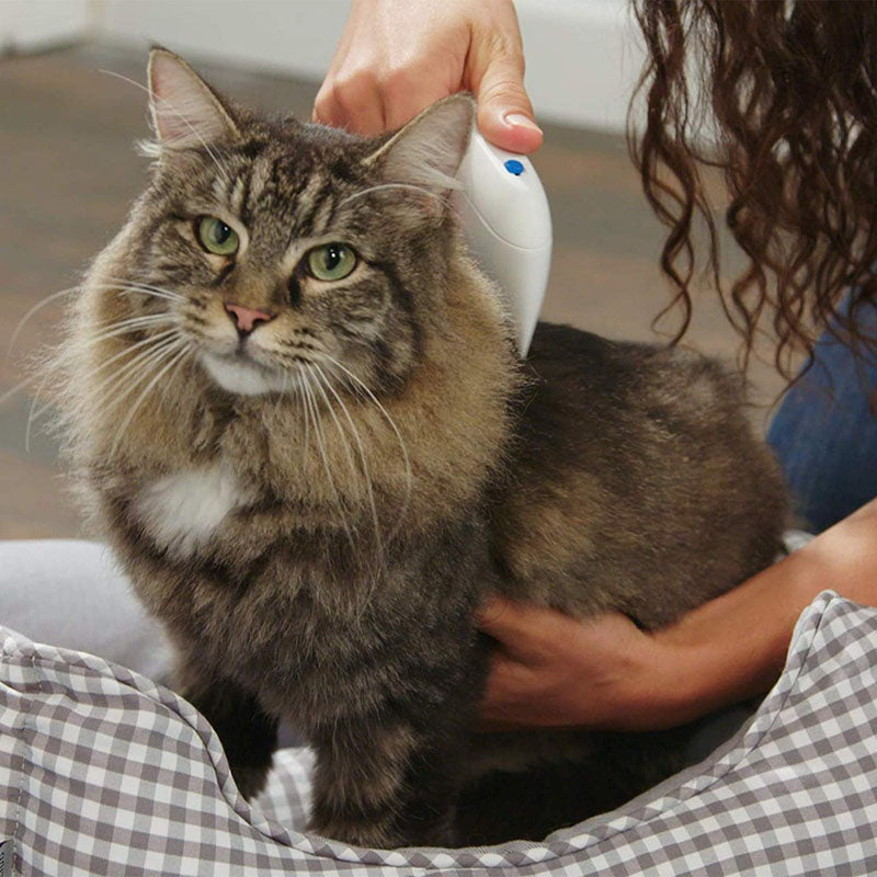 Electric Flea Comb for Dogs & Cats – Flea Doctor Tool