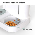 Dog and Cat storage feeder and water dispenser - Green