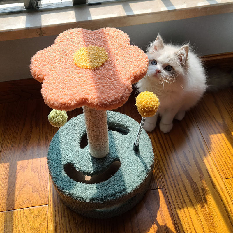 Cat Scratcher Board & Toy for Claw Grinding and Play