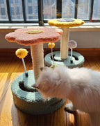 Cat Scratcher Board & Toy for Claw Grinding and Play