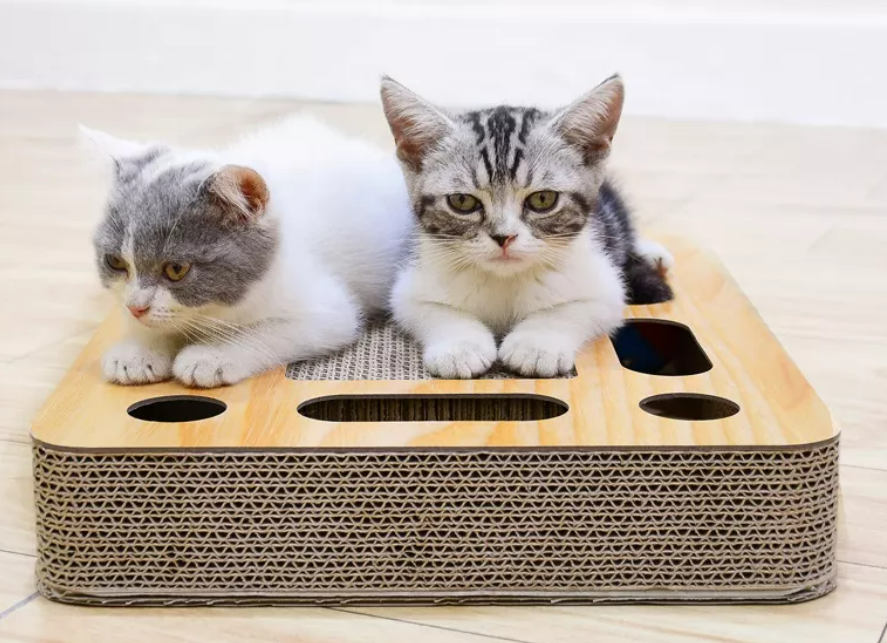 Cat scratch board with toys