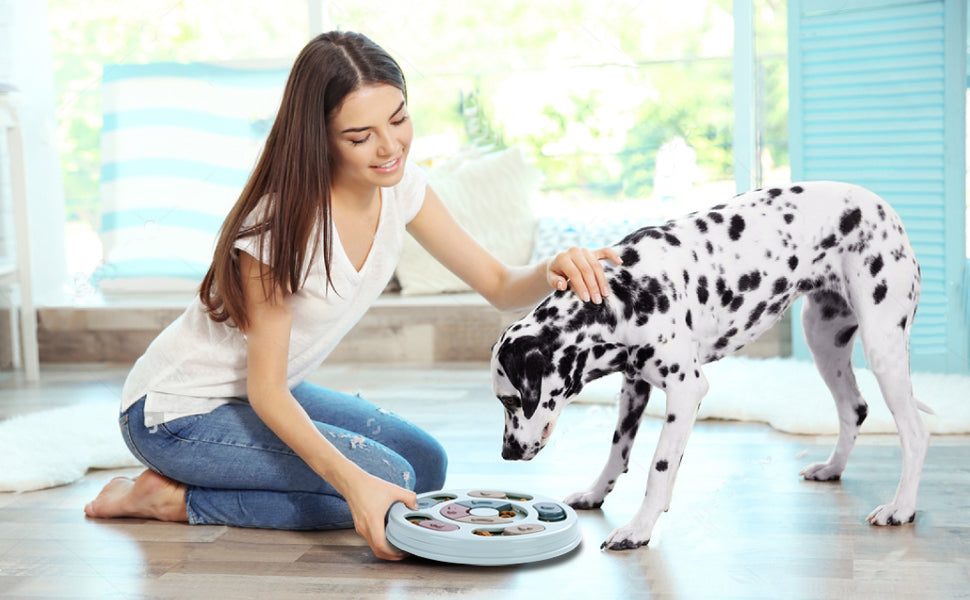 Dog Enrichment Puzzle Feeder Toy for Treats & IQ Training