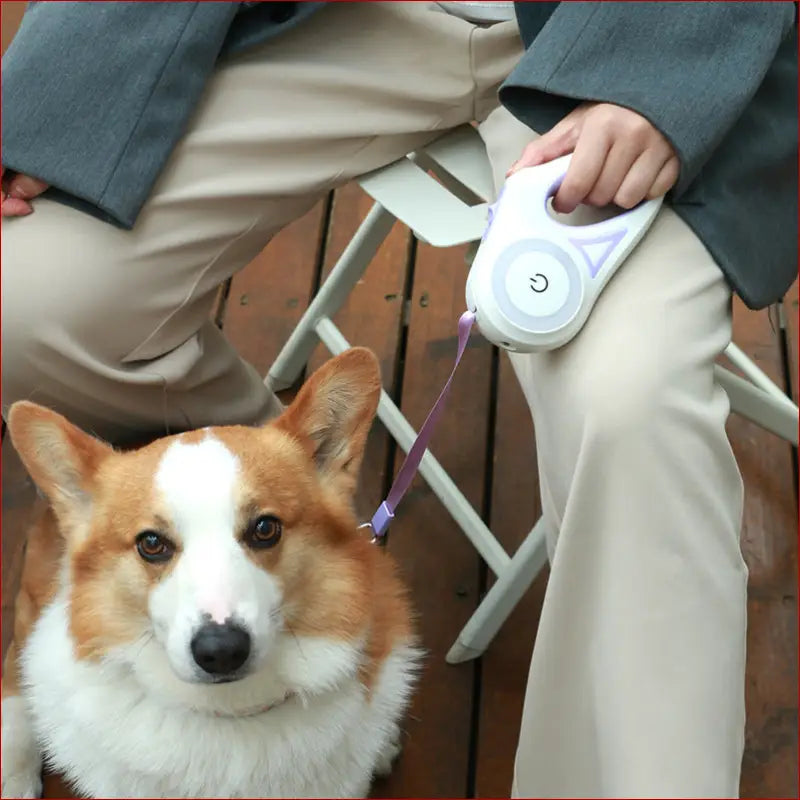 LED Dog Retractable Leash – Safe Walks for All Dogs