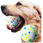 Durable Dog Molar Ball – Interactive Training Toy
