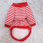 Pet Sweater for Small Dogs and Cats - Cute Spring Teddy Bear