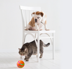 Interactive Automatic Rotating Cat & Dog Toy Ball for Fun
