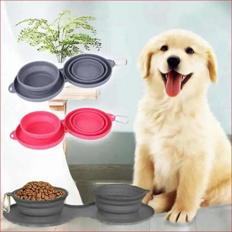Double Collapsible Pet Bowls – Food & Water Feeding Solution