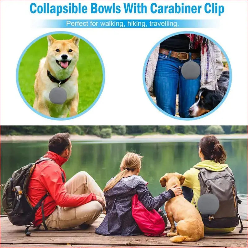 Double Collapsible Pet Bowls – Food & Water Feeding Solution