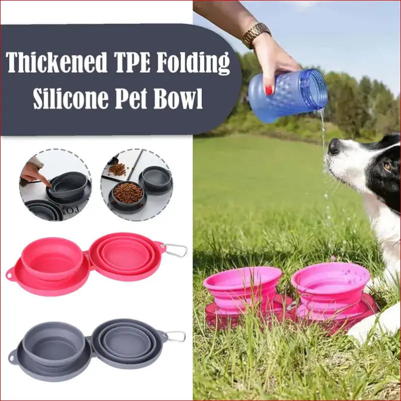Double Collapsible Pet Bowls – Food & Water Feeding Solution