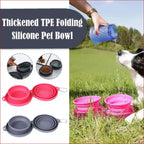 Double Collapsible Pet Bowls – Food & Water Feeding Solution