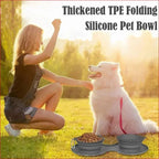 Double Collapsible Pet Bowls – Food & Water Feeding Solution