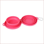 Double Collapsible Pet Bowls – Food & Water Feeding Solution
