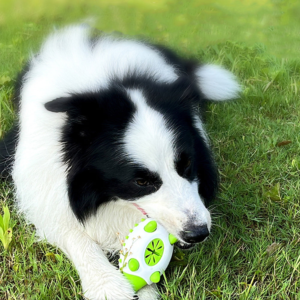 Durable Dog Chew Toy – Teething, Treat Dispensing & Durable