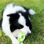 Durable Dog Chew Toy – Teething, Treat Dispensing & Durable