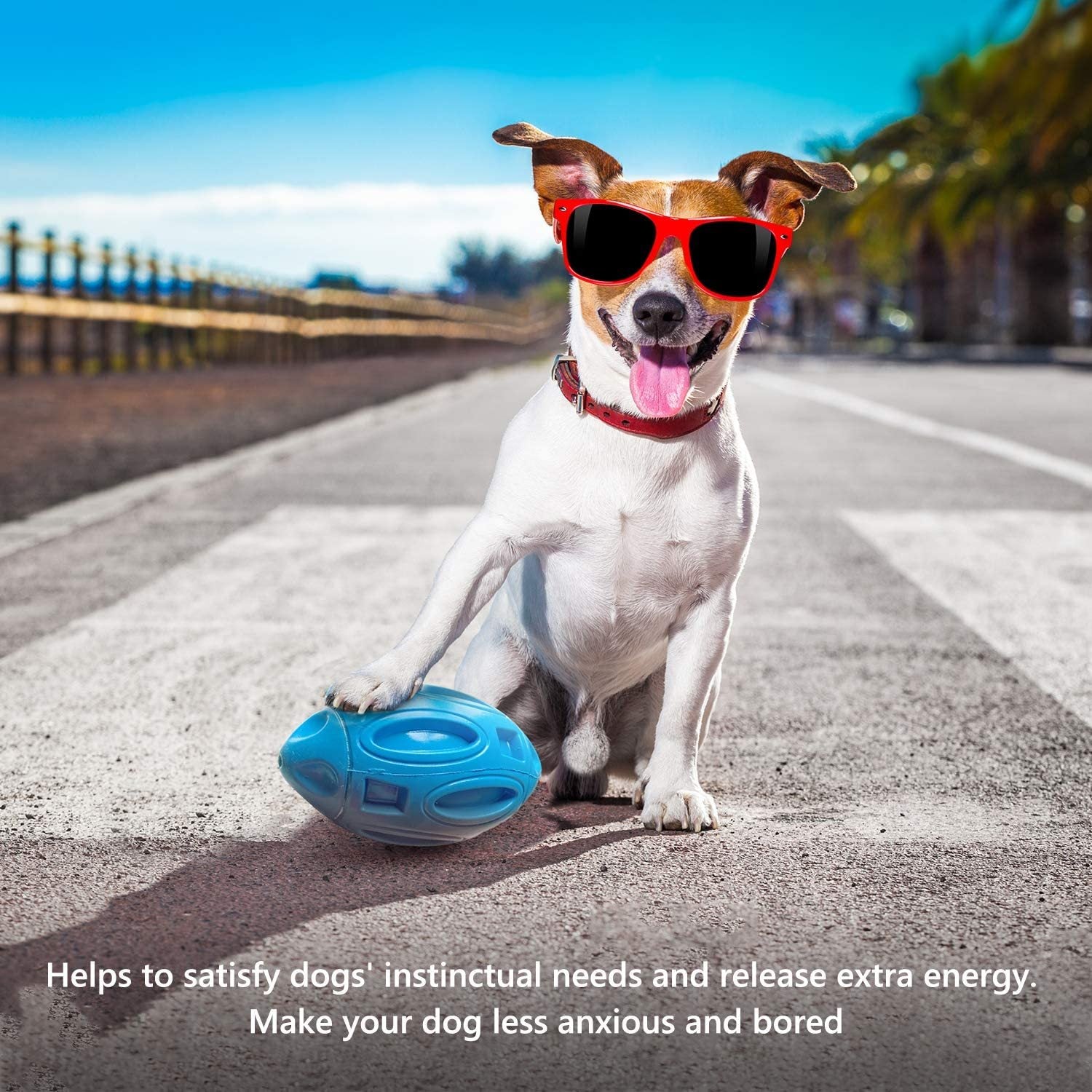 Durable Rubber Dog Chew Ball – Squeaky Toy for Aggressive Chewers