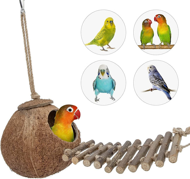 100% Natural Coconut Hideaway with Ladder, Bird and Small Animal Toy Main Image