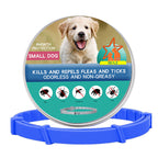 Flea Prevention Collar for Puppies – Safe & Effective