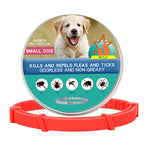 Flea Prevention Collar for Puppies – Safe & Effective