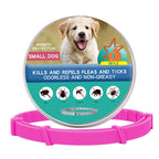 Flea Prevention Collar for Puppies – Safe & Effective