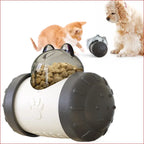 Interactive Dog Toy – Fun Treat Dispenser for Pets