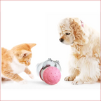 Interactive Dog Toy – Fun Treat Dispenser for Pets