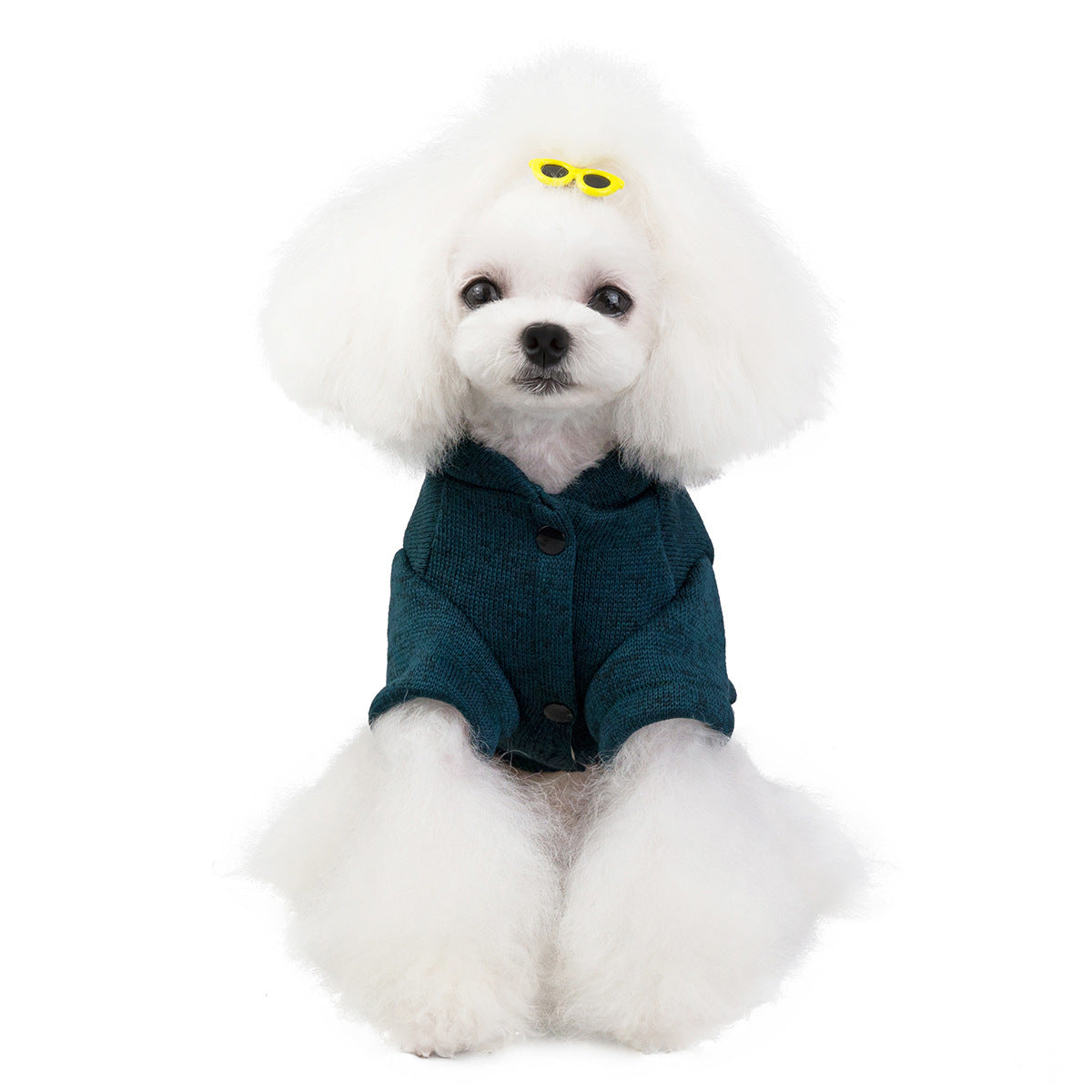 Pet Clothes for Dogs and Cats - Adorable Outfits