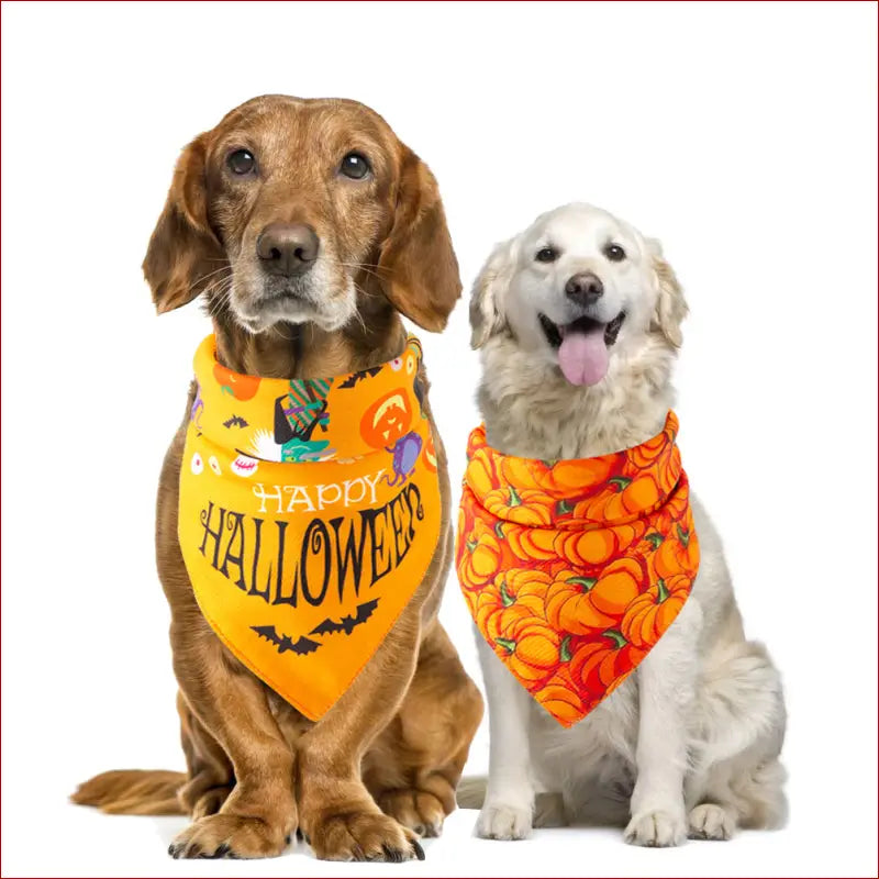 Halloween Pet Saliva Towel – Spooky & Practical Accessory