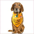 Halloween Pet Saliva Towel – Spooky & Practical Accessory