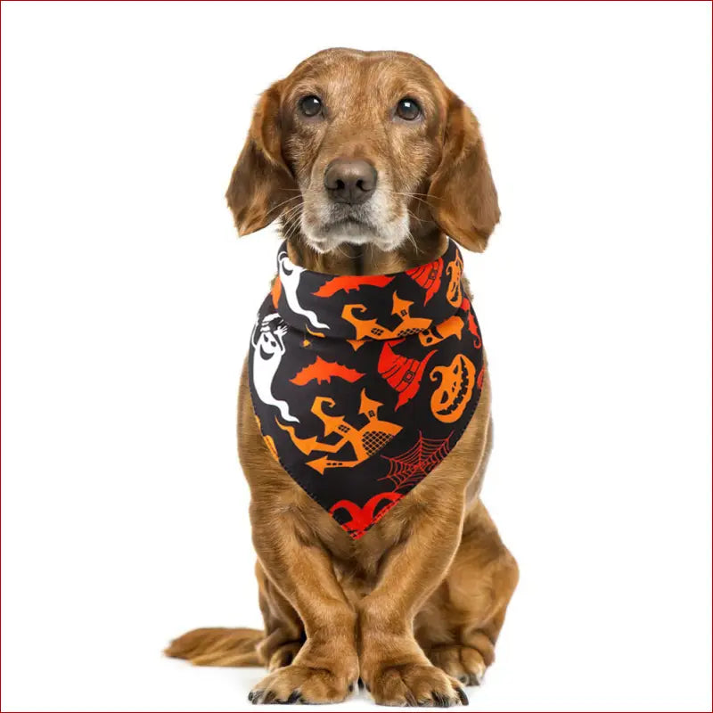 Halloween Pet Saliva Towel – Spooky & Practical Accessory