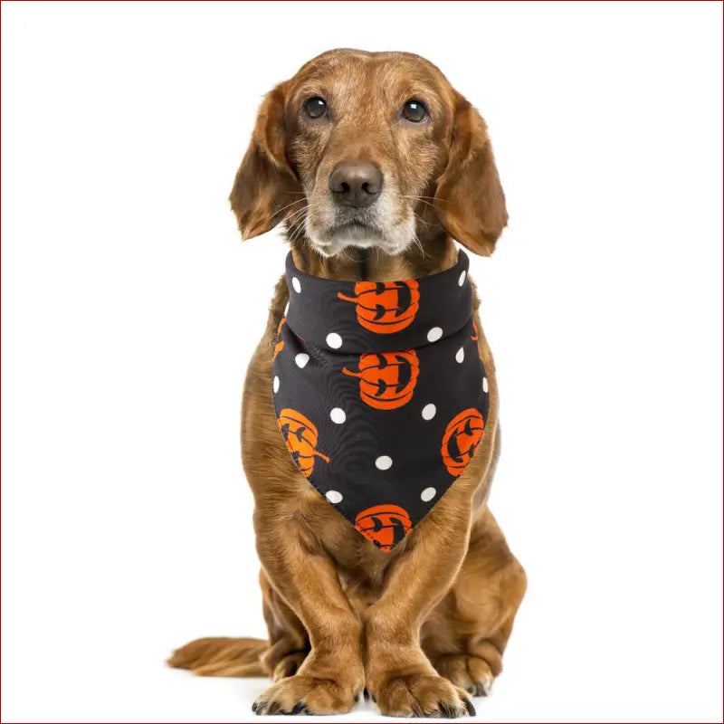 Halloween Pet Saliva Towel – Spooky & Practical Accessory