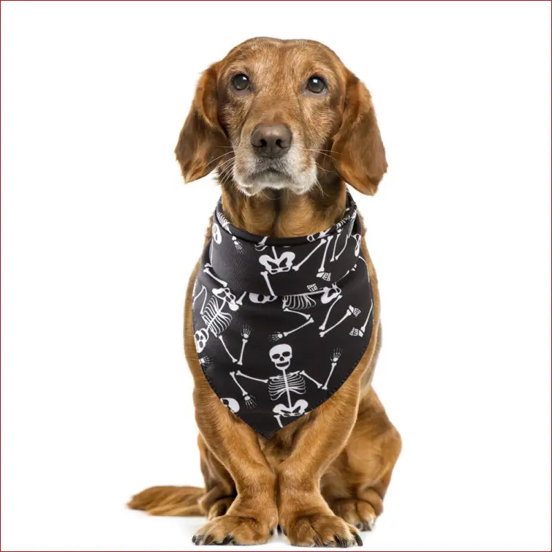 Halloween Pet Saliva Towel – Spooky & Practical Accessory