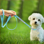 Dog Collar with Shiny Diamond Pattern – Stylish Pet Accessory