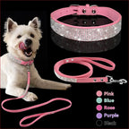 Dog Collar with Shiny Diamond Pattern – Stylish Pet Accessory