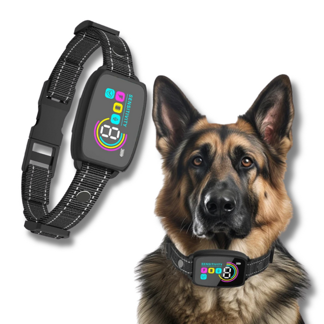 Smart Rechargeable Anti-Bark Dog Collar HD Display & Waterproof Hover Image