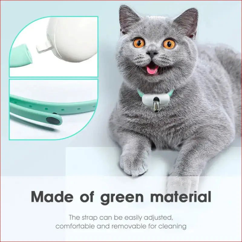 Interactive Cat Toy & Smart Pet Collar – Fun Pet Toys