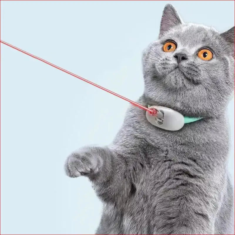 Interactive Cat Toy & Smart Pet Collar – Fun Pet Toys