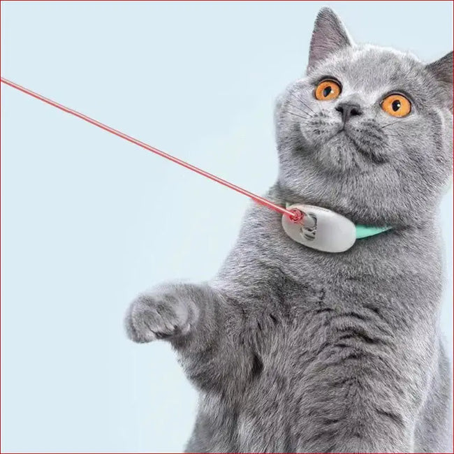 Interactive Cat Toy & Smart Pet Collar – Fun Pet Toys Main Image