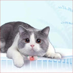 Interactive Cat Toy & Smart Pet Collar – Fun Pet Toys