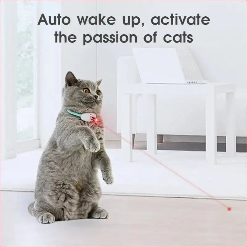 Interactive Cat Toy & Smart Pet Collar – Fun Pet Toys